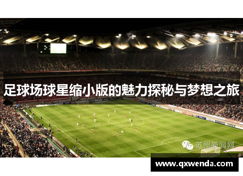 足球场球星缩小版的魅力探秘与梦想之旅