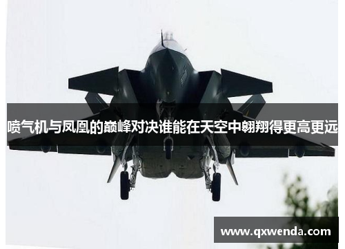 喷气机与凤凰的巅峰对决谁能在天空中翱翔得更高更远