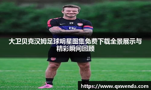 大卫贝克汉姆足球明星图集免费下载全景展示与精彩瞬间回顾
